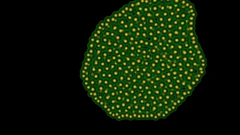 Microscopic life multiplying , reproducing growing, spreading. 3d animation Stock-Footage 102381366