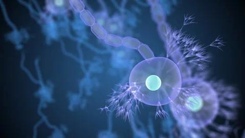 Microscopic Neural Cell Visualization for Scientific Video Stock Footage 323811020