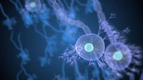 Microscopic Neural Cell Visualization for Scientific Video Stock Illustration