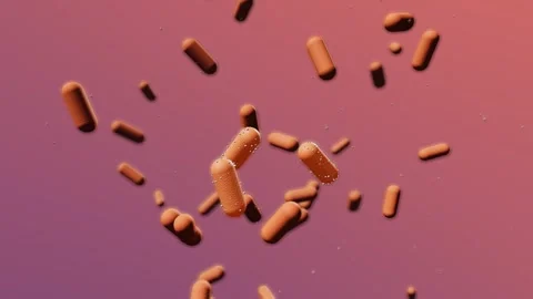 Microscopic Orange Bacteria Drifting in Cellular Environment Stock Footage 344755984