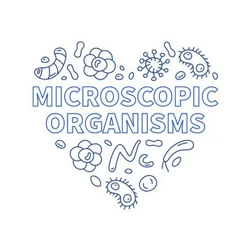 Microscopic Organisms Heart vector Bacteriology concept outline banner Stock Illustration