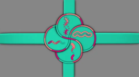 MICROSCOPIC ORGANISMS MOTION. ALPHA MATTE Video stock 43096100