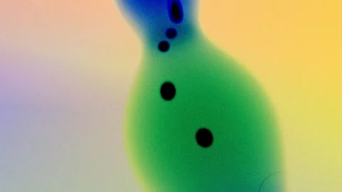 Microscopic organisms transforming and mutating Stock Footage 303360083