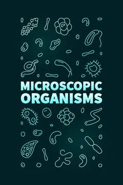 Microscopic Organisms vector Bacteriology concept line colored vertical ban.. Stock Illustration