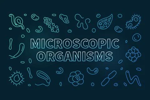 Microscopic Organisms vector Bacteriology concept line colored horizontal b.. Stock Illustration