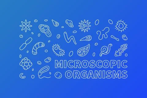 Microscopic Organisms vector Microbiology blue outline horizontal banner - .. Stock Illustration
