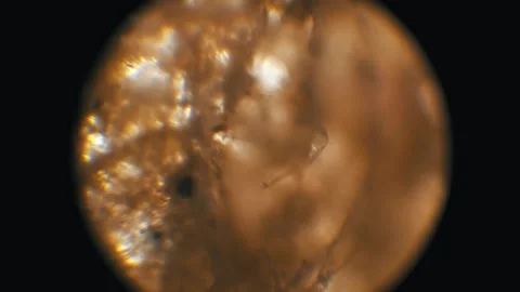 Microscopic Paper Pulp Fibers Texture View Video stock 320576293