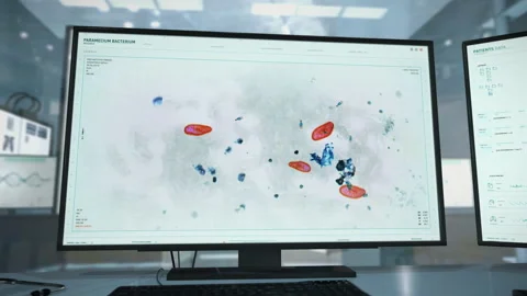 Microscopic Paramecium Bacteria System Study Using Advanced Biotechnology Stock Footage 223644340