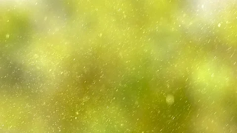 Microscopic particles of flower pollen. Flower pollen. Video stock 230172231