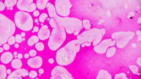 Microscopic Patterns of Colors and Paints Stock Footage