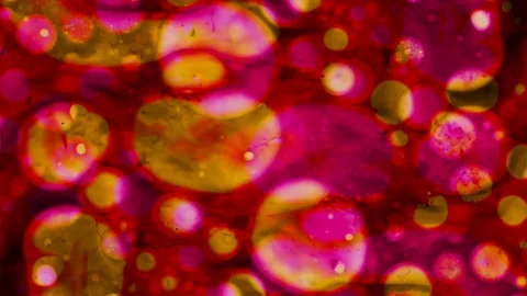 Microscopic Patterns of Colors and Paints Stock Footage 78128451