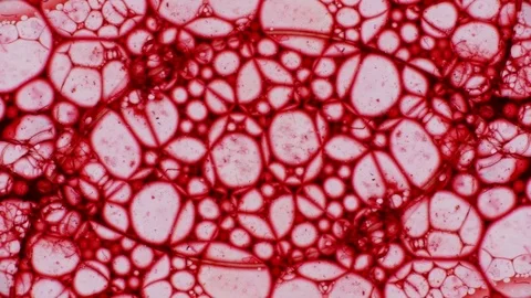 Microscopic Patterns of Colors and Paints Stock Footage