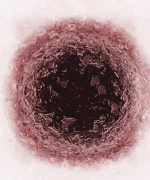 Microscopic Foto stock