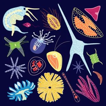 Microscopic plankton under microscope a flat cartoon vector illustration Illustrazione stock