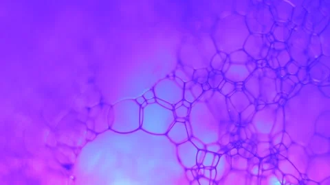 Microscopic Plant Cell Structure Art Stock Footage 338233566