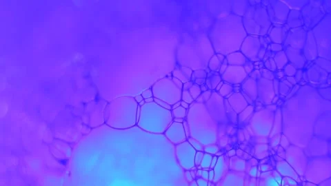 Microscopic Plant Cell Structure 스톡 동영상 338233579