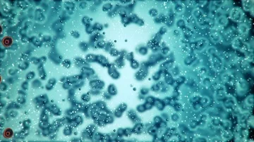 Microscopic plate of bacteria multiplying themselves 3d rendering Stock Footage 85599895