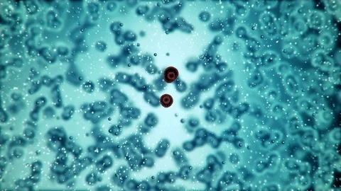 Microscopic plate of bacteria multiplying themselves 3d rendering Stock Footage 86198867