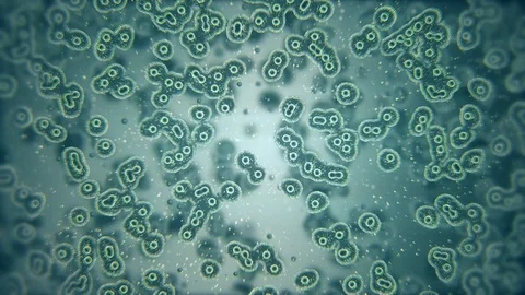 Microscopic plate of bacteria multiplying themselves 4K Stock Footage