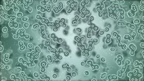 Microscopic plate of bacteria multiplying themselves Stock Illustration