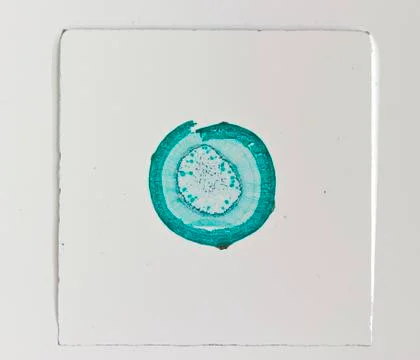 Microscopic preparation Stock Photos
