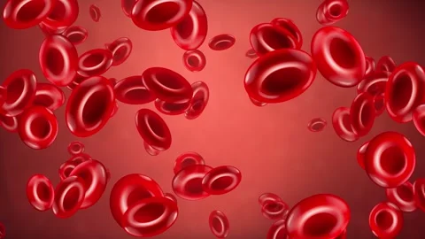 Microscopic Red Blood Cells Drifting Through a Human Artery Stock Footage 341643762