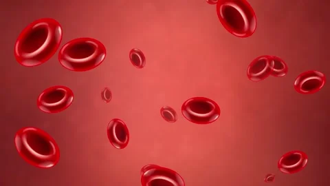 Microscopic Red Blood Cells Drifting Through a Human Artery Stock Footage 341907045