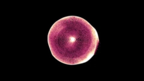 A microscopic single cell - Cell 003 HD, 4K Stock Footage Stock-Footage 73812406