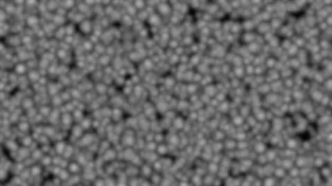 Microscopic soybean seeds viewed with cinematic motion during bright daylig.. Stock Footage 342512153