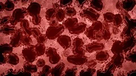 Microscopic strange objects 스톡 동영상 8967959