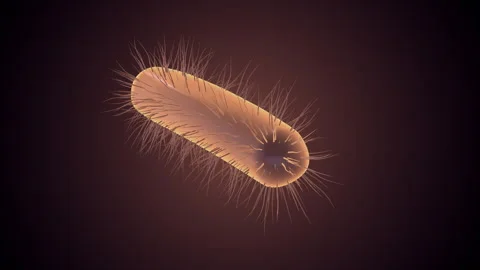 Microscopic Structure of a Single Bacter... | Stock Video | Pond5