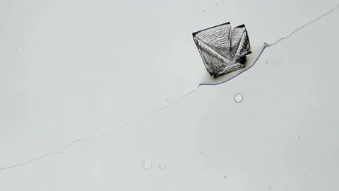 Microscopic Time Lapse - Abstract Grunge Pattern of Crystallizing Salt Video stock 71194226