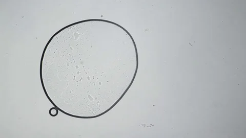 Microscopic Time Lapse - Abstract Grunge Pattern of Crystallizing Coconut Oil Video stock 71195467