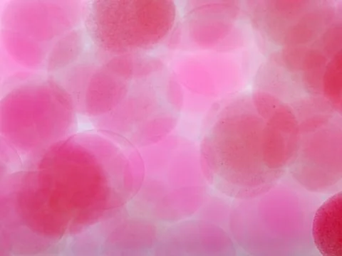 Microscopic translucent pink ball under water Stock-Illustration