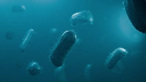 Microscopic View of Bacteria and Microorganisms Floating Life in the macro Stock Footage 346026142