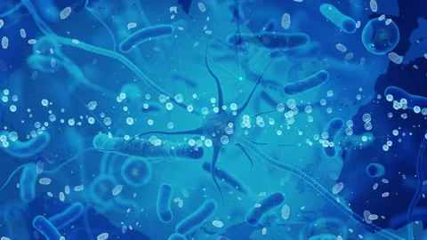 Microscopic View: Bacteria and Neurons in a Dynamic Blue Ecosystem Stock Footage 339051297