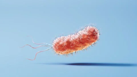 Microscopic view of bacteria cell with flagella moving on blue background i.. Stock Footage 332150838