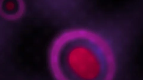 Microscopic view of bacteria cells. Stock Footage 334342262