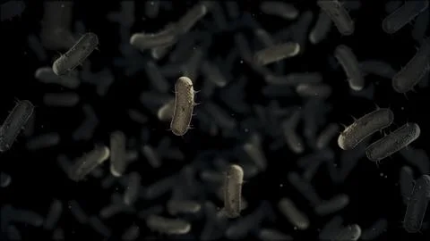 Microscopic View of Bacteria Cells Illustration Stock Illustration