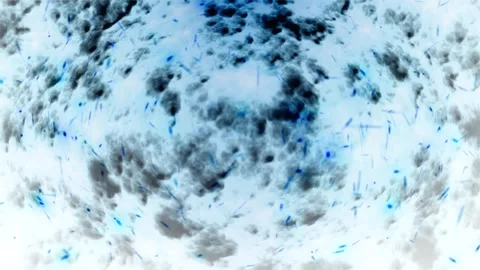 Microscopic View of Bacteria Stock Footage 289109119