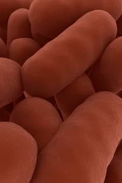 Microscopic view of bacteria. Illustrazione stock