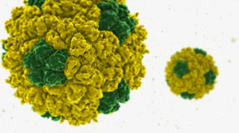 Microscopic view of bacteria/virus molecule. HD Video stock 5164218