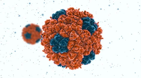 Microscopic view of bacteria/virus molecule. HD Video stock 5164244