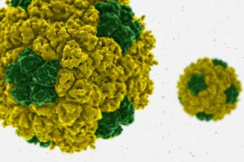 Microscopic view of bacteria/virus molecule. NTSC Stockbeeldmateriaal 5164209