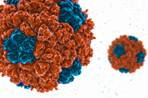 Microscopic view of bacteria/virus molecule. NTSC Stockbeeldmateriaal 5164222