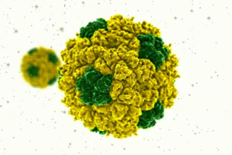 Microscopic view of bacteria/virus molecule. NTSC 스톡 동영상 5164240