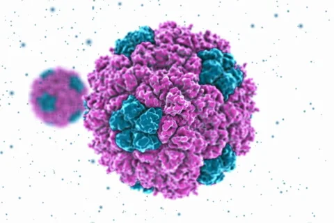 Microscopic view of bacteria/virus molecule. NTSC Stockbeeldmateriaal 5164249