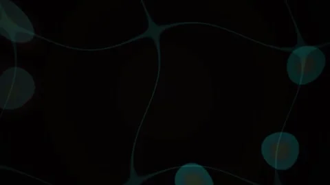 Microscopic View of Biological Cells Moving Through a Neural Network Structur 스톡 동영상 341807754