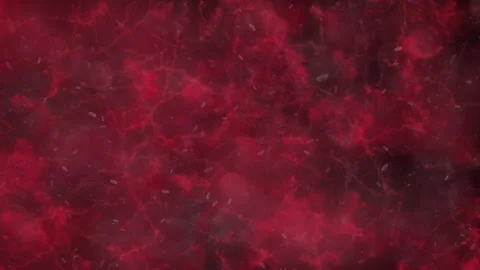 Microscopic View of Bloodstream with Floating Organisms and Plasma Currents Stock Footage 310164934