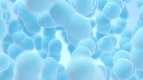 Microscopic view of blue bacteria forming chains and clusters with a soft f.. Stock Footage 332315393